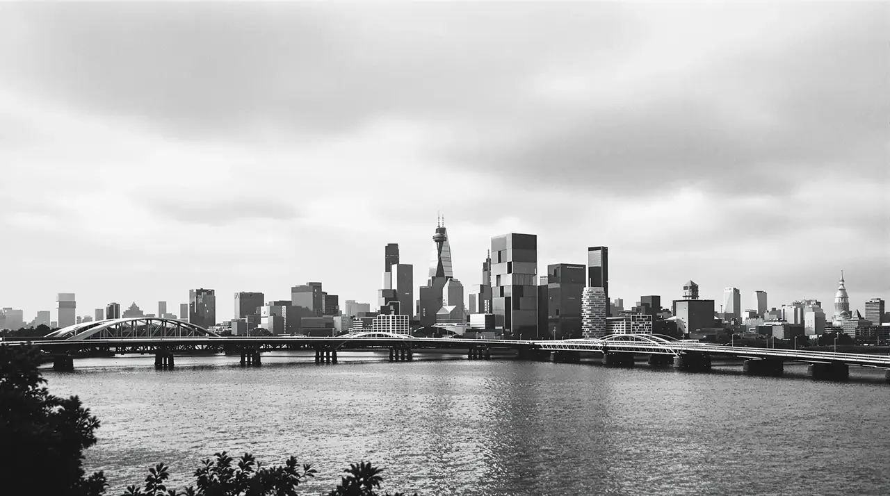 鹿特丹国际电影节 · International Film Festival Rotterdam 鹿特丹国际电影节