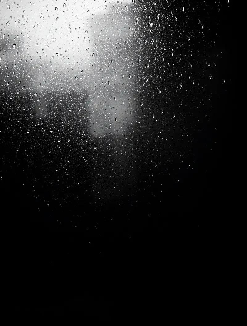 雨 · 雾 · 实验室 · 2020 雨 · 雾